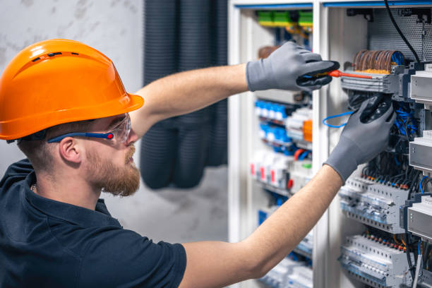 Best Electric Panel Repair  in Ness City, KS